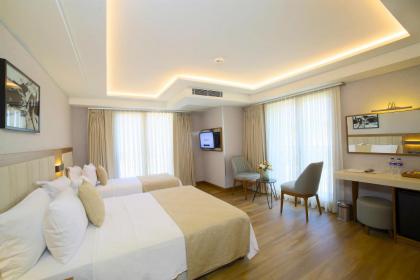 Erboy Hotel Istanbul Sirkeci - image 30