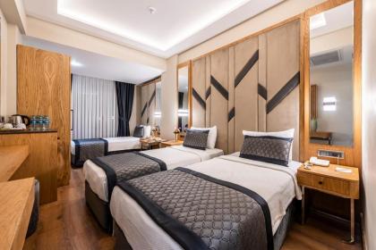 Endican Sultanahmet Hotel - image 26