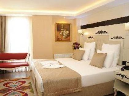 Comfort Elite Hotel Sultanahmet - image 3