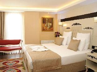 Comfort Elite Hotel Sultanahmet - image 3