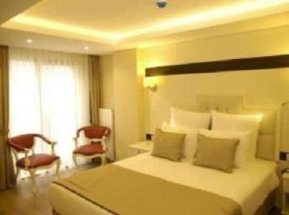 Comfort Elite Hotel Sultanahmet - image 8