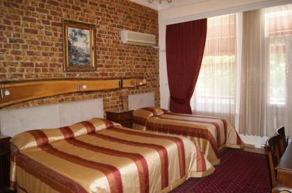 Yesilkoy Airport Hotel - image 10