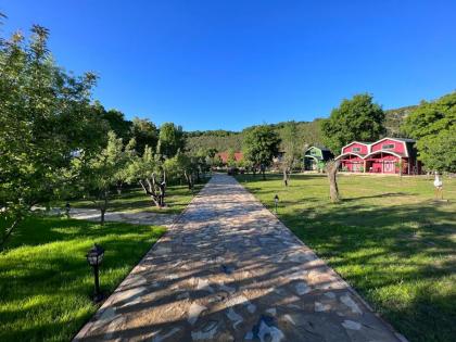 Dachas Ağva Evleri - image 21