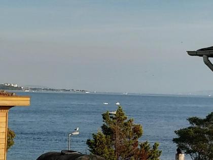 Magellan Apartments - image 25