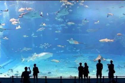 Fantastic apartment two rooms - image 25