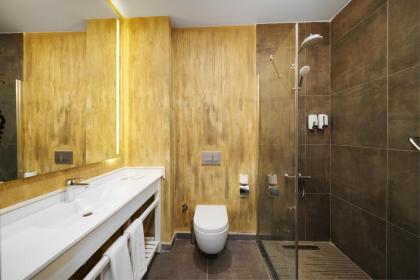 Ibis Istanbul Airport - image 27