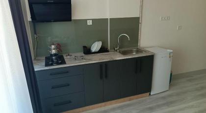 Neva Residence - image 24